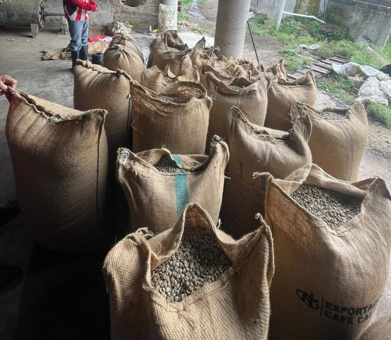 Del campo a una selección de origen